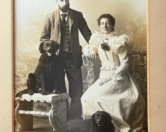 Antique Framed Photograph of Couple and their Dogs, c1880s