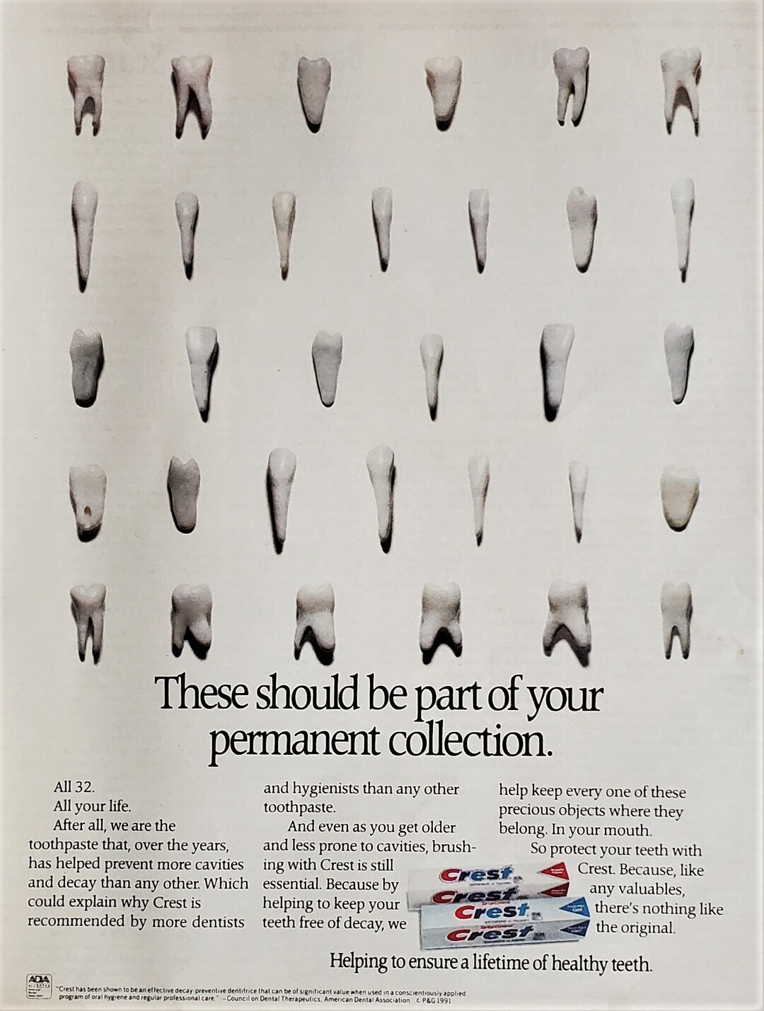 Teeth on Display Grid Layout Gross Creepy Eerie Funny Ad for Toothpaste Molars Incisors Other