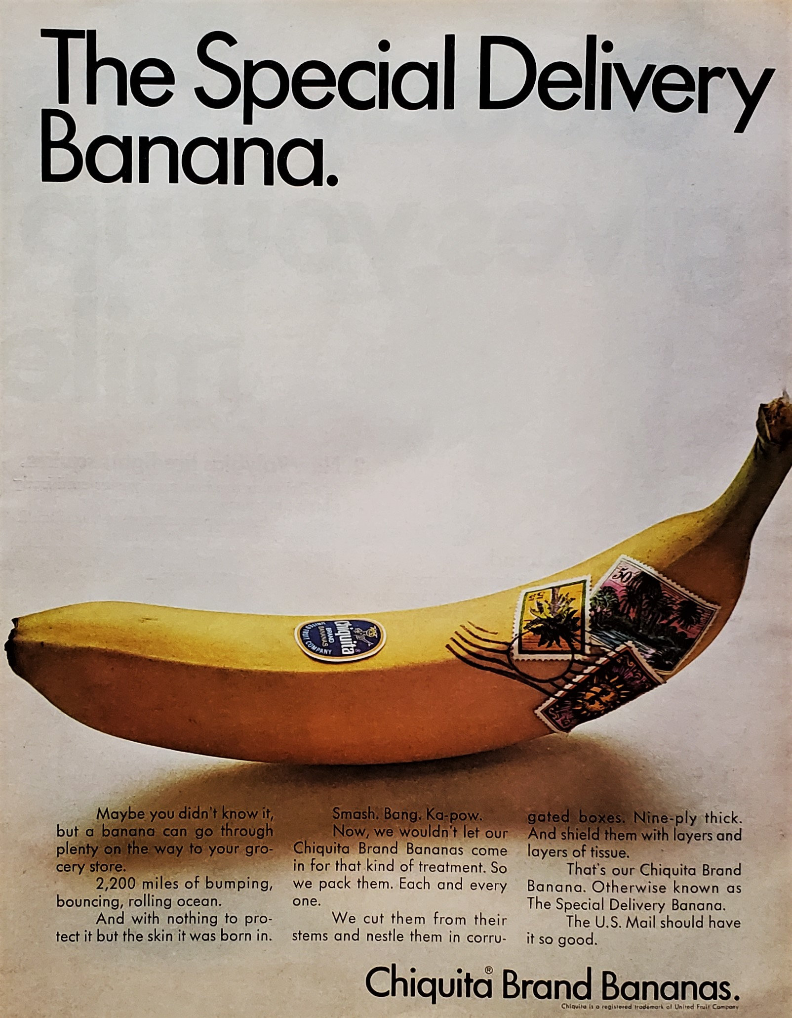Vintage Chiquita Banana Ad Print, 'the Special Delivery Banana