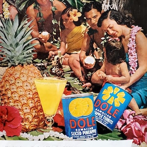 Hawaii Family Photo Dole Pineapple ad 60s Hawaiian Pineapple Lei Coconut On Island Setting Color Photo Vintage DOLE ad 13x10 Ready Frame