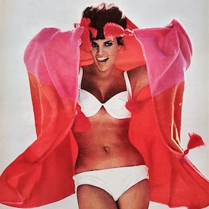 Raquel Welch All Day Model Sex Siren Movie Star Photo Spread Ringo Paprazzi Bikinis Posing Magazine Covers Pin Up 60s 6 pps 13x10 Frame