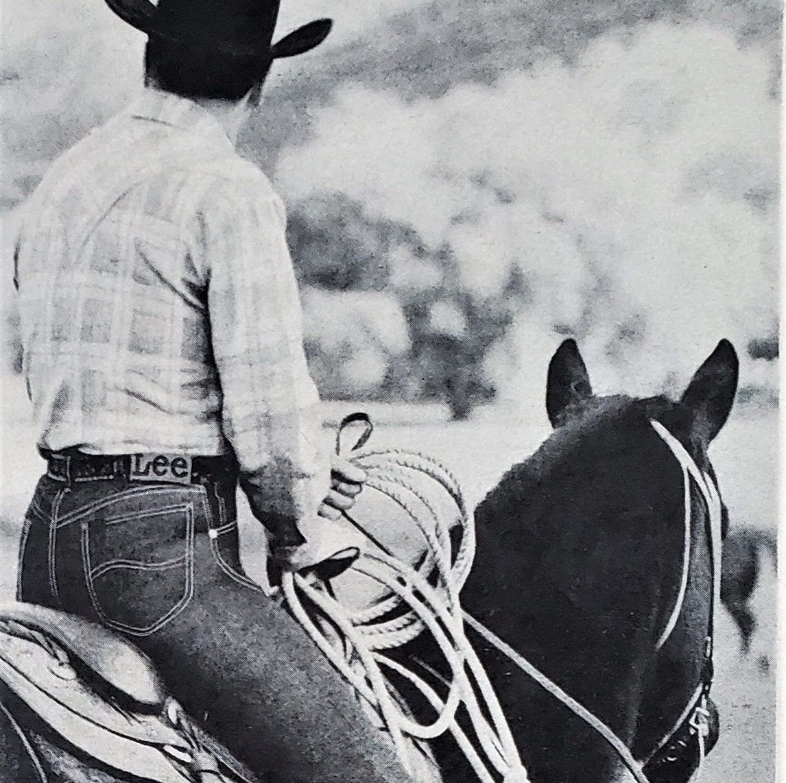 【INSCRIRE*LEE*LESSAGE】COWBOY/RIDERSPANTS Women's Classic Rider™ Jean