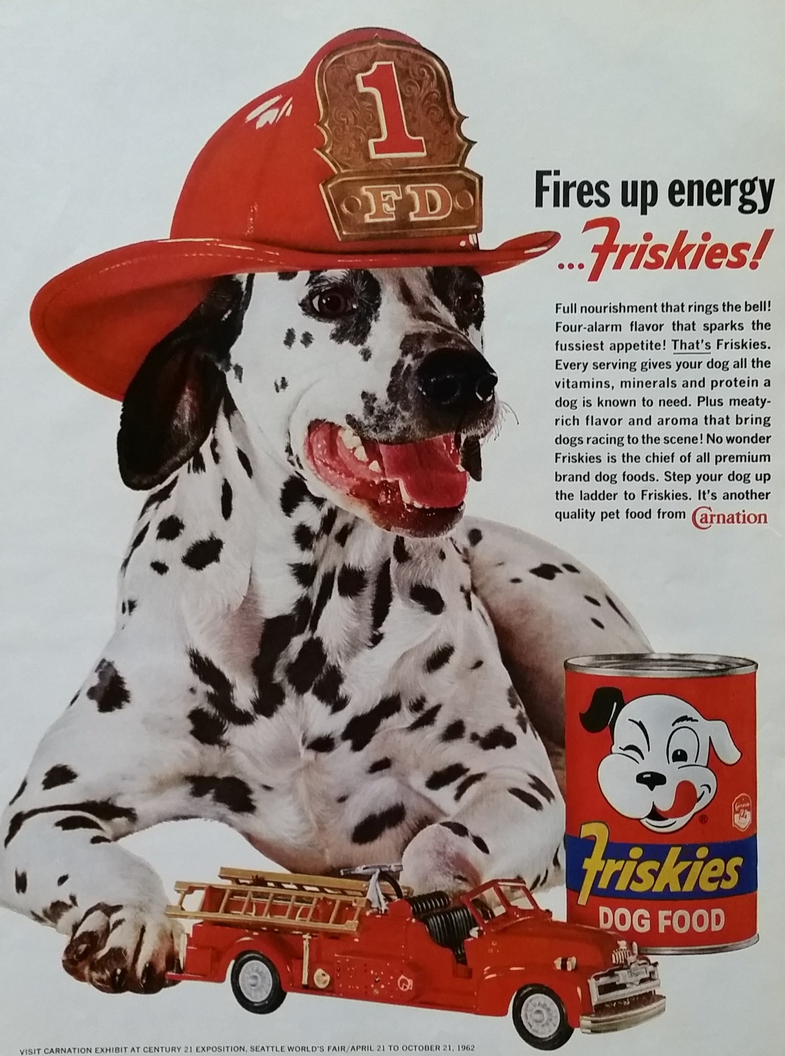 Dalmatian Dog Fire Engine Captains Hat Friskies Color Photo Etsy