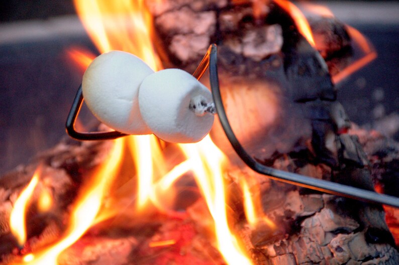 Hot Dog & Marshmallow Roasters Stainless Steel Set of 4 Etsy