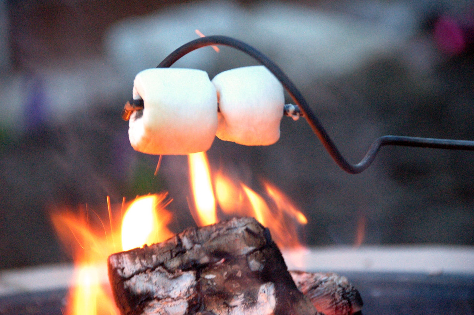 Hot Dog & Marshmallow Roasters Stainless Steel Set of 4 Etsy