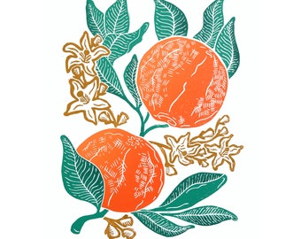 Citrus x Sinensis Original Linocut Art Print / Orange Tree Botanical Art Print