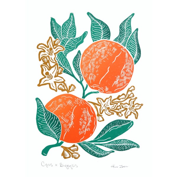 Citrus x Sinensis Original Linocut Art Print / Orange Tree Botanical Art Print