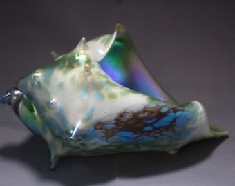 White and Blue Green iridescent sea shell