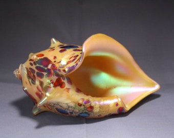 Gold & Red Iridescent Sea Shell