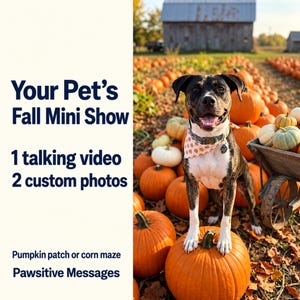 May include: A brindle and white dog wearing a pumpkin-patterned bandana stands on a large orange pumpkin in a field. Text on the left reads: Your Pet's Fall Mini Show, 1 talking video, 2 custom photos, Pumpkin patch or corn maze, Pawsitive Messages.