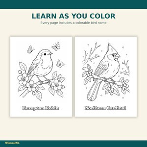 May include: A coloring book page featuring two black and white line art illustrations of birds. The left side shows a European Robin on a flowering branch with butterflies, and the right side shows a Northern Cardinal on a berry branch with text.