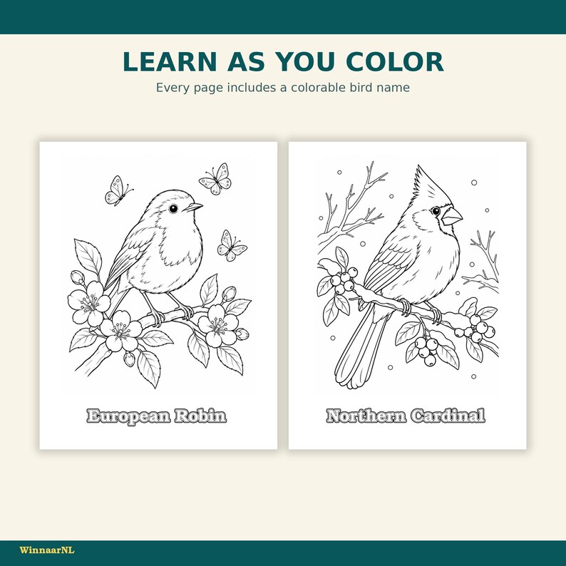 May include: A coloring book page featuring two black and white line art illustrations of birds. The left side shows a European Robin on a flowering branch with butterflies, and the right side shows a Northern Cardinal on a berry branch with text.