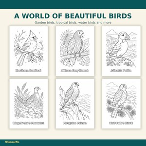 May include: A coloring page set titled A WORLD OF BEAUTIFUL BIRDS featuring six black and white line art illustrations of a Northern Cardinal, African Grey Parrot, Atlantic Puffin, Ring-Necked Pheasant, Peregrine Falcon, and Red-Tailed Hawk.