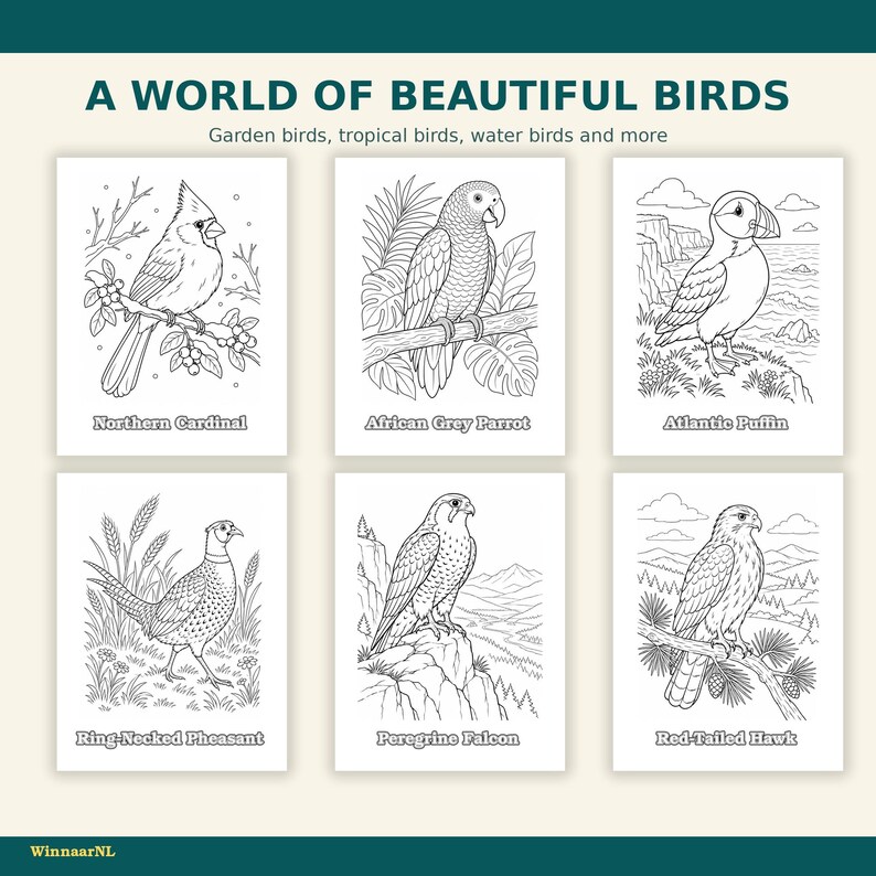 May include: A coloring page set titled A WORLD OF BEAUTIFUL BIRDS featuring six black and white line art illustrations of a Northern Cardinal, African Grey Parrot, Atlantic Puffin, Ring-Necked Pheasant, Peregrine Falcon, and Red-Tailed Hawk.