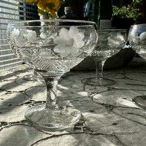 Vintage Champagne Coupes Glasses | Set of 8 |  Floral Etched Glassware Cocktail Sherbet Dessert Tasting