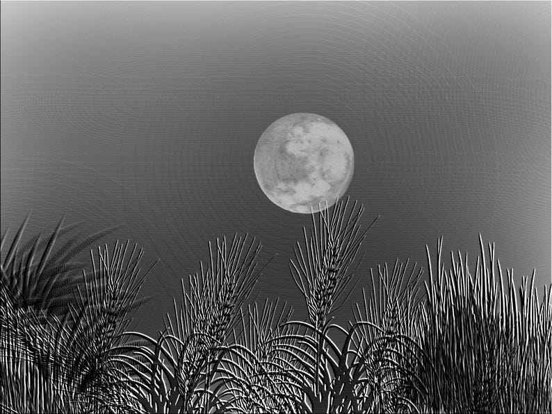 May include: A greyscale digital illustration featuring a full moon centred in the upper portion of the frame, positioned above a dense field of tall, textured stalks of wheat or grass that fill the lower half of the composition.