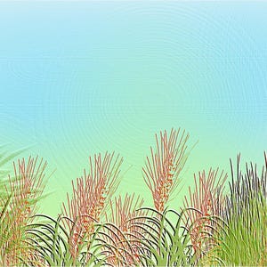May include: A digital illustration of tall, slender grasses with reddish-brown plumes and vibrant green blades. The plants are arranged in a dense cluster against a smooth, light blue and pale green gradient background with a subtle circular texture.