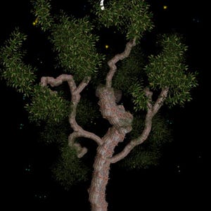 May include: A gnarled, textured brown tree trunk with sprawling branches covered in dense, dark green foliage against a solid black background. A small, white crescent moon shape is visible nestled within the upper branches of the tree.