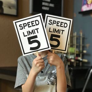 Speed Limit Birthday Signs   Traffic Signs Decoration   Race car Party