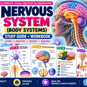 Studiehandledning för nervsystemet + arbetsbok | Visuell anatomi och fysiologi (PDF)