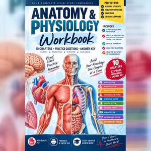 Può includere: Quaderno di esercizi di anatomia e fisiologia con un'illustrazione centrale che mostra un corpo umano diviso tra sistema muscolare e scheletrico. La copertina presenta un cervello, un cuore e dei polmoni, con 10 capitoli e le soluzioni incluse.