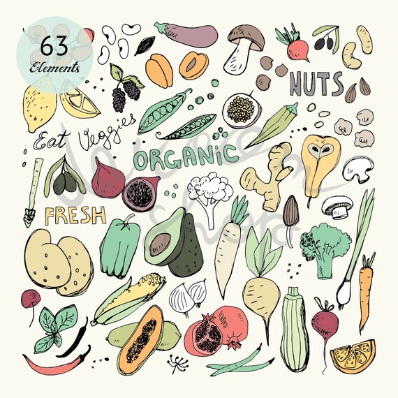 Hand Drawn Organic Raw Food Clip Art Doodle Etsy