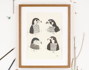 Bird art print, birds of prey, bird lover present, twitcher present, bird art work, animal lover print, screen print, eco-friendly art print