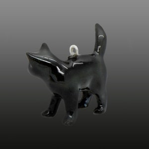 Black cat image 3