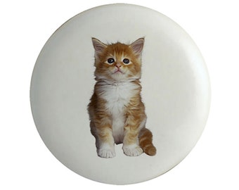 Orange Tabby Kitty Cat Decorative Cabinet Knobs  Drawer Pulls set of 4