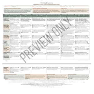 Op de afbeelding: Een wekelijks programmadocument voor de kleuterschool, gedateerd 17 augustus 2008, met een rasterindeling met kolommen voor leergebieden, voorkennis, focus, ervaringen, onderwijs, bewijs en reflectie, met een groot watermerk PREVIEW ONLY.