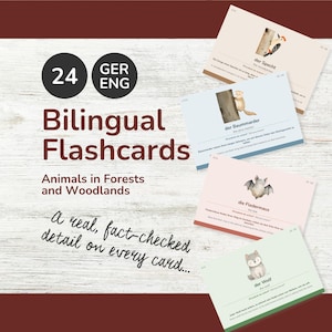 Puede incluir: Un juego de 24 tarjetas didácticas bilingües en alemán e inglés con ilustraciones de animales del bosque. Cada tarjeta muestra el nombre del animal en ambos idiomas, un dato verificado y un dibujo, incluyendo un pájaro carpintero, una marta, un murciélago y un lobo.