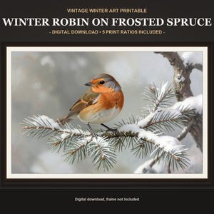 Puede incluir: Una impresión de arte digital que muestra un petirrojo con el pecho naranja posado en una rama de abeto cubierta de nieve. El texto dice: VINTAGE WINTER ART PRINTABLE, WINTER ROBIN ON FROSTED SPRUCE, DIGITAL DOWNLOAD, 5 PRINT RATIOS INCLUDED.
