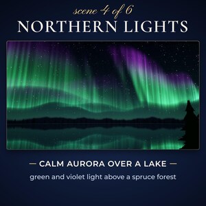 Scene 4, Northern Lights: green and violet aurora over a lake and a spruce forest.