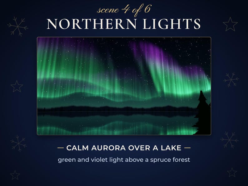 Scene 4, Northern Lights: green and violet aurora over a lake and a spruce forest.