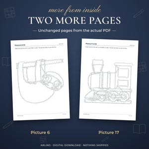 Two more pages. Unchanged pages from the actual PDF. Picture 6. Picture 17.