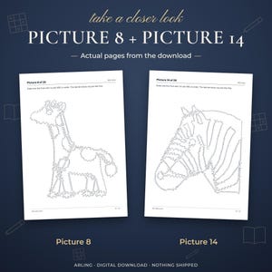 Picture 8 + Picture 14. Actual pages from the download. Picture 8. Picture 14.