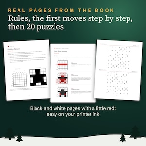 Christmas Logic Puzzle Book for Adults: 80 Printable Puzzles with Solutions