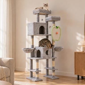 May include: A multi-level gray cat tree featuring two enclosed cubbies, two circular cradles, multiple sisal-wrapped scratching posts, and a hanging apple-shaped toy. A light-colored cat sits on the top platform, while a tabby cat rests on the middle level.