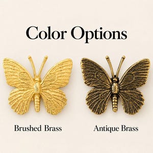 K&ouml;nnte beinhalten: Zwei schmetterlingsf&ouml;rmige Metallornamente mit dem Text Color Options oben. Der linke Schmetterling ist aus geb&uuml;rstetem Messing, der rechte aus antikem Messing. Darunter steht der Text Brushed Brass und Antique Brass.