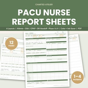 Peut inclure: Un ensemble de feuilles de rapport pour infirmiers en salle de réveil comprenant 6 mises en page, dont Aldrete, OSA, CPAP et transmission au bloc. 12 pages pour 1 à 4 patients, avec des en-têtes verts et des fonds blancs pour les notes.