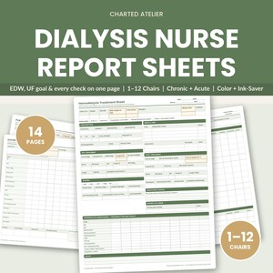 Redigerbart rapportblad för dialyssjuksköterska | Hemodialys hjärnblad, behandlingsflödesblad, åtkomstlogg (digital nedladdning)
