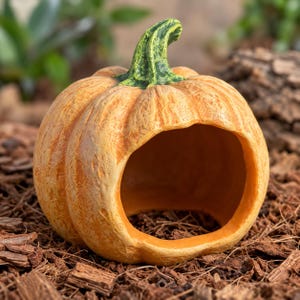 May include: A hollow, orange pumpkin-shaped ornament with a textured surface and a prominent green stem. The pumpkin features a large, circular opening on the front side, revealing the smooth, light orange interior of the decorative object.
