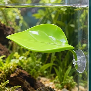 Könnte beinhalten: Eine hellgrüne, blattförmige Ruheplattform für Wassertiere mit einer glatten, geformten Oberfläche und realistischen Blattadern. Das Blatt ist an einem transparenten, runden Saugnapf befestigt, der an der Glaswand eines Aquariums haftet.