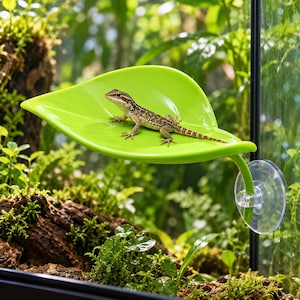 May include: A small lizard with brown and tan patterned skin resting on a bright lime green, leaf-shaped platform. The platform is attached to a vertical glass surface by a clear suction cup, providing a raised perch for the reptile.