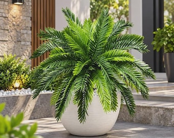 May include: A lush, vibrant green palm plant with long, feathery fronds arranged in a dense, symmetrical pattern, potted in a round, white, textured planter with horizontal ridges, sitting on a paved outdoor patio surface.