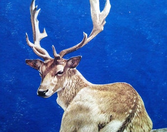 Original painting Landscape Animal Oil Collage Deer Special price for loving art THE DEER Terry May