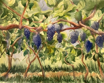 Vineyard Watercolor, "Jewels on the Vine" Small Original Painting, Vineyard Grape Vines, Red Wine, landscape painting, Wine Bar decor