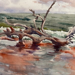 Driftwood Beach print, Jekyll Island Print, &quot;Always the Bridesmaid&quot;, GA Coast Print, Island Art, beach decor, wall decor, beach print