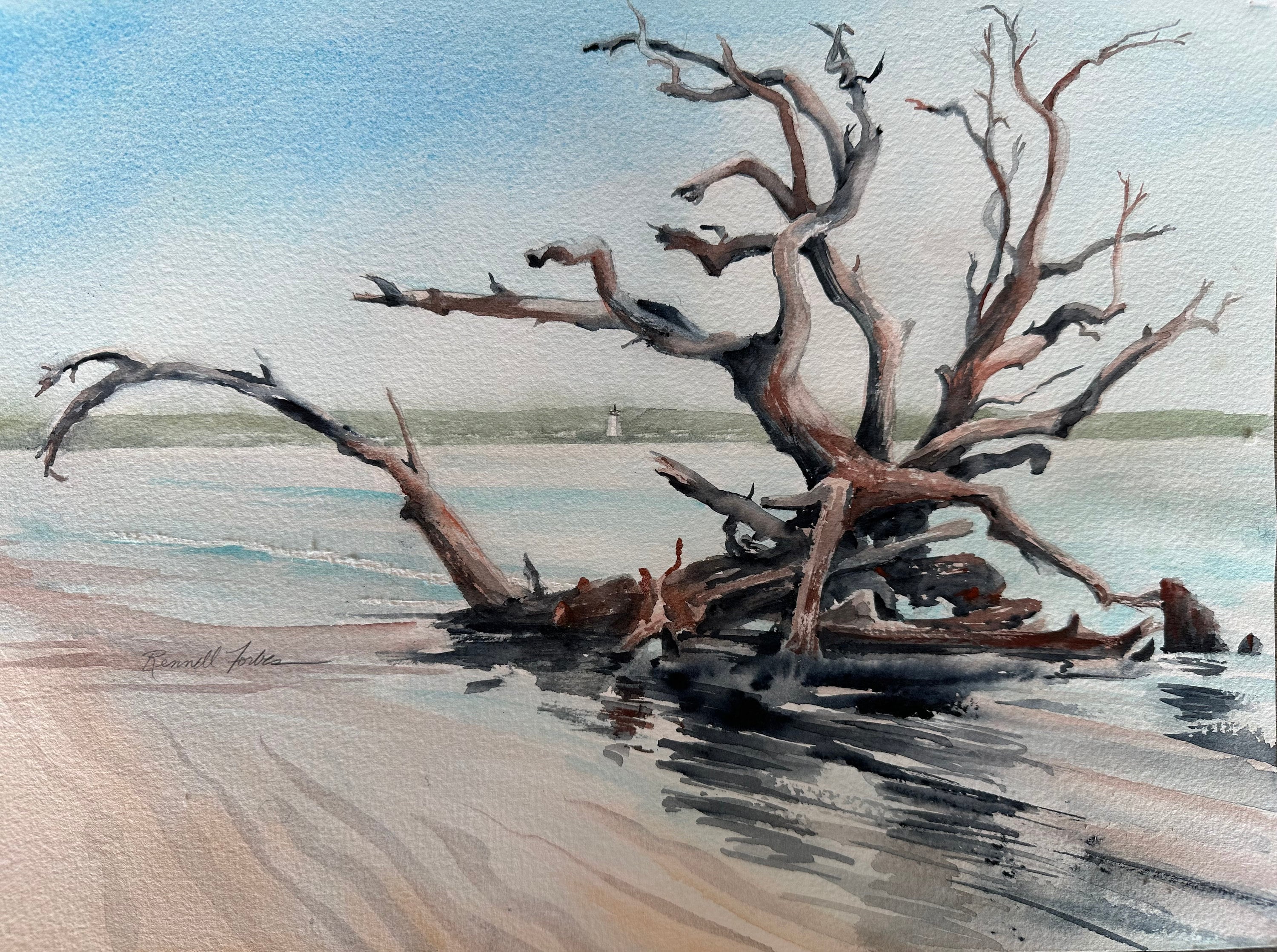 Driftwood Beach Watercolor Print: Jekyll Island Coastal Art - Etsy