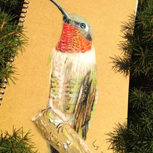 Diario colibrì ecologico con rilegatura a spirale